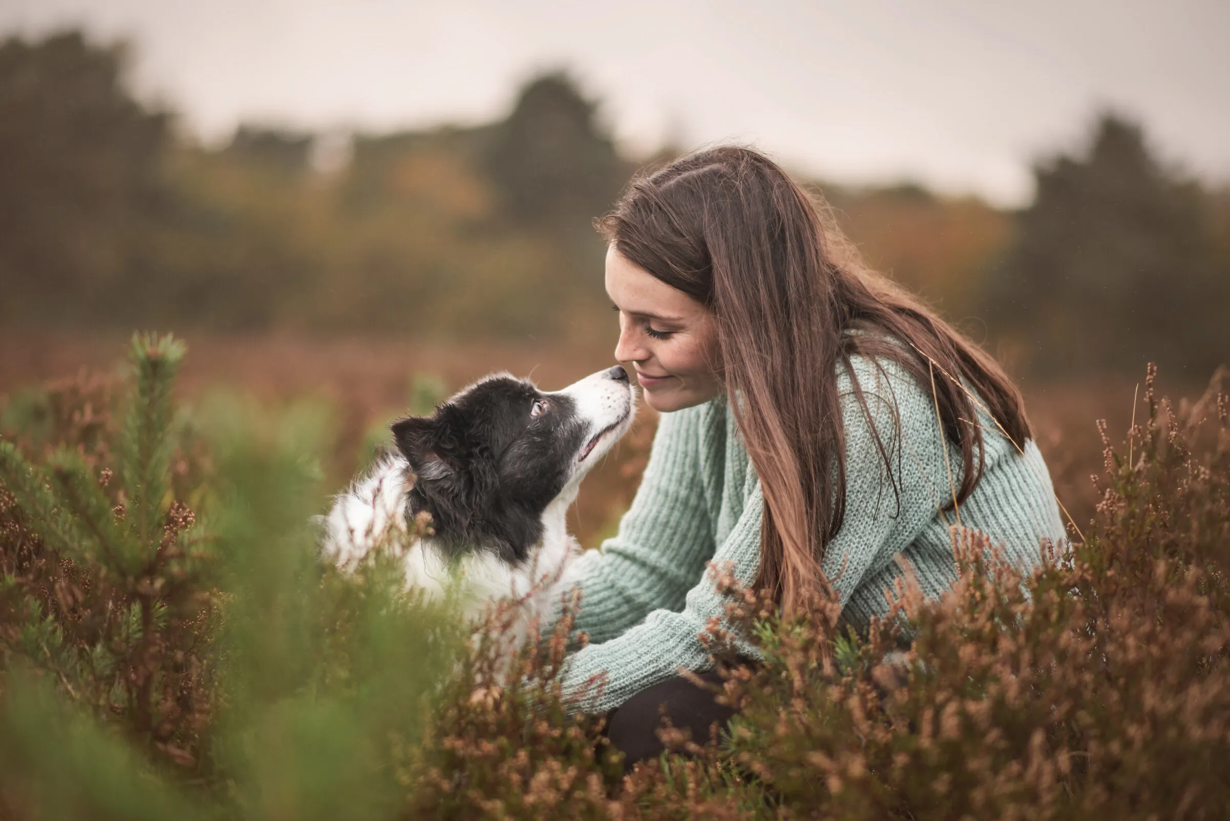Andrea Prezzi met Finn — Shetland Sheepdog