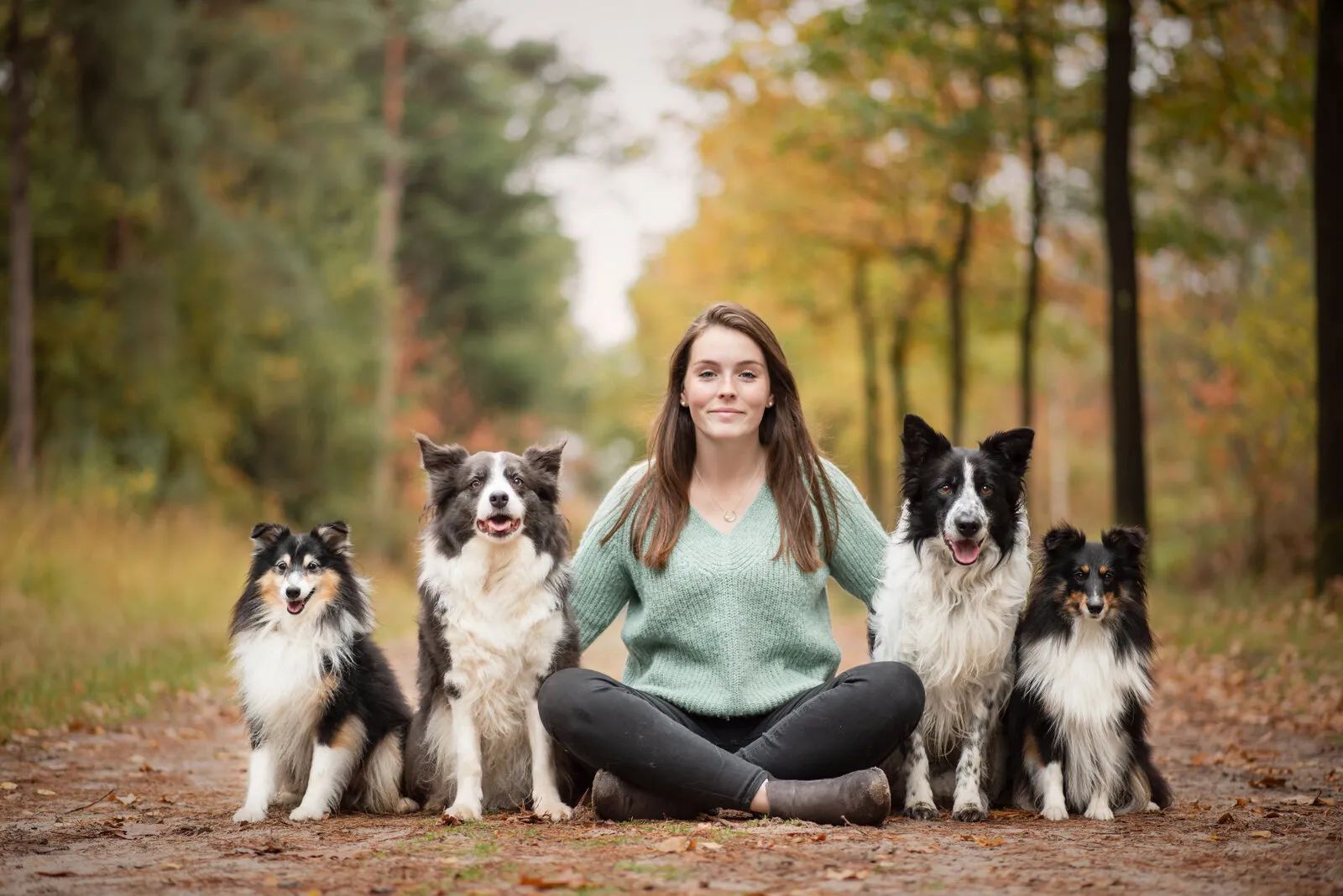 Andrea Prezzi zit met haar vier honden — twee shelties en twee border collies — op een herfstig bospad