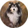 Finn
